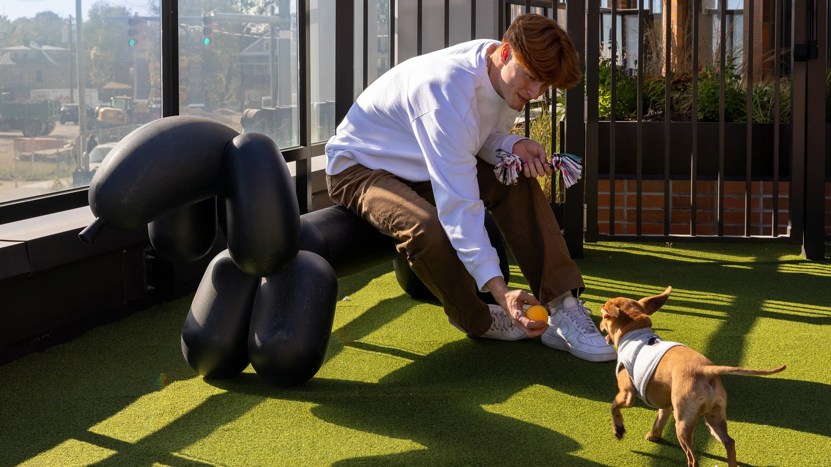a man playing with a small dog